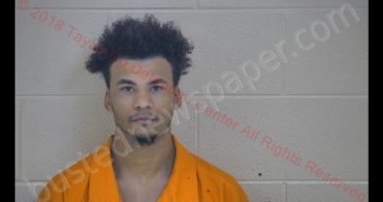 AUSTYN THORNTON | 2018-08-06 14:41:00 Taylor County, Kentucky Booking