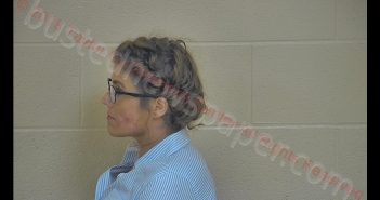 ABBIE DANIELLE ANDERSON | 2018-08-07 19:35:00 Taylor County, Kentucky Booking