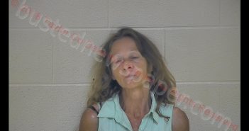 TELINA F. SEITZ | 2018-08-07 19:09:00 Taylor County, Kentucky Booking