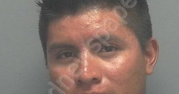 FRANCISCO <B>SEBASTIAN</B>, <B>MATEO</B> #, Lee County, Florida - 2018-08-08 00:43:00