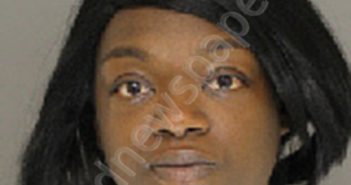 DAY, BRITTANY NICOLE | 2018-08-08 13:09:00 Moore County, North Carolina Booking