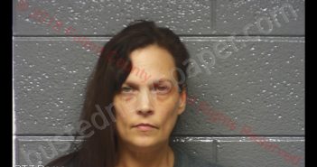 <B>LAURA</B> MARIE <B>ELLIOTT</B> #, Fulton County, Kentucky - 2018-08-08 07:41:00