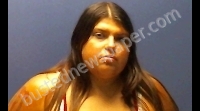 JORDAN KRISTINA MARIE | 2018-08-08 Huron County, Ohio Booking