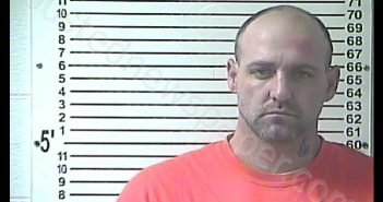 TIMOTHY TRAVIS SALMON | 2018-08-09 14:00:00 Hardin County, Kentucky Booking