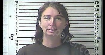 AMY MARIE SMITH | 2018-08-09 22:24:00 Hardin County, Kentucky Booking