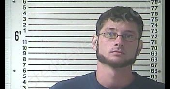 GARY HARVEY MAYS | 2018-08-09 11:20:00 Hardin County, Kentucky Booking