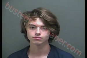 JOSHUA TYLER COCHRAN | 2018-08-09 23:32:00 Howard County, Indiana Booking