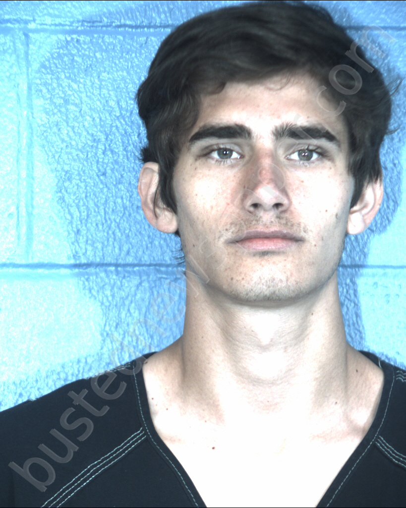HERNANDEZ, JOSEPH MICHAEL #, Williamson County, Texas - 2018-08-09