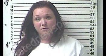 HILLARY ANNE NODINE | 2018-08-10 19:00:00 Hardin County, Kentucky Booking