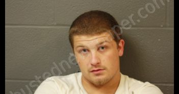 DUSTIN LOVEALL | 2018-08-10 15:01:00 Cooper County, Missouri Booking