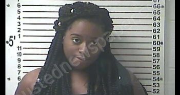 TERRILYN SHAKKIA COBB | 2018-08-10 19:03:00 Hardin County, Kentucky Booking