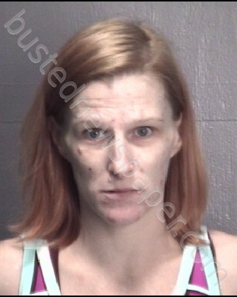 UNDERRITER, CHELSA DAWN #, New Hanover County, North Carolina - 2018-08-10