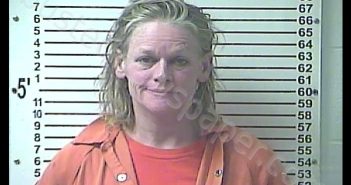 HEATHER YVONNE BANKS | 2018-08-11 01:05:00 Hardin County, Kentucky Booking