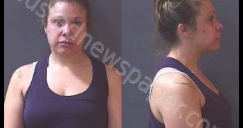 <B>STANOVICH</B>, <B>REBECCA</B> <B>JEAN</B> #, Hamilton County, Indiana - 2018-08-13 16:24:00