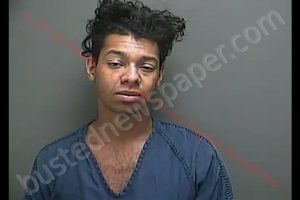 DEVIN NEIL SHACKELFORD | 2018-08-14 01:24:49 Howard County, Indiana Booking