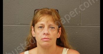 AMY LOU FOX | 2018-08-15 18:11:00 Cooper County, Missouri Booking