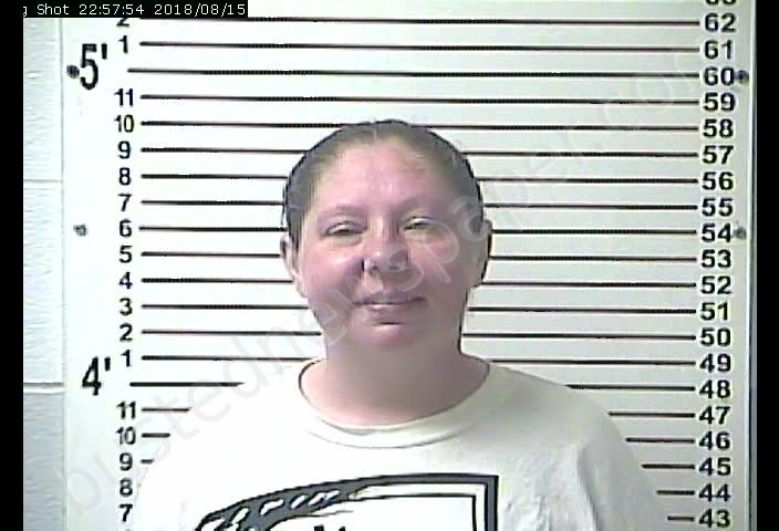 SUSAN LEAH TAPP #, Hardin County, Kentucky - 2018-08-15 23:51:00