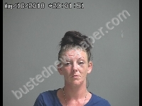 RUFFIER LINDSAY A | 2018-08-16 Sandusky County, Ohio Booking