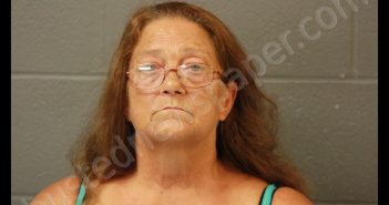 THERESA MARIE GRUBBS | 2018-08-16 21:37:00 Cooper County, Missouri Booking
