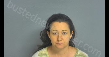 BRANDY LEE CLARK | 2018-08-17 19:33:00 Greene County, Missouri Booking
