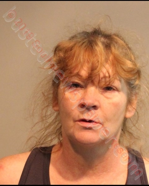 DENISE SUE DEPOTTEY #, Southwest Regional Jail, Virginia - 2018-08-18