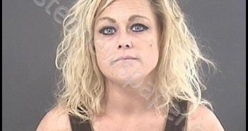 HENLEY, HOLLY ELAINE | 2018-08-18 02:14:00 Roanoke County, Virginia Booking