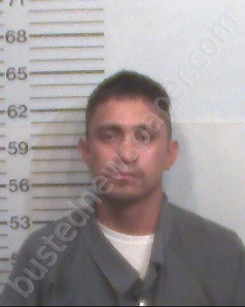 ORTIZ-PALOMINO, JOSE GUADALUPE #, Hamilton County, Florida - 2018-08-19 03:17:00