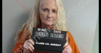 TINA MICHELLE NICHOLS | 2018-08-20 09:51:00 Clark County, Missouri Booking