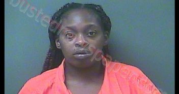 DEJA L HIGGINS | 2018-08-22 20:14:00 Laporte County, Indiana, La Porte County, Indiana Booking