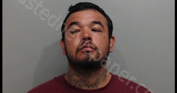 <B>LOZANO</B>, <B>MARTIN</B>, JR. #, Hays County, Texas - 2018-08-22
