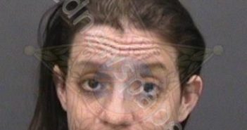 <B>GOMEZ</B>, <B>TONEILLE</B> <B>BLAIR</B> #, Hillsborough County, Florida - 2018-08-22 19:37:00