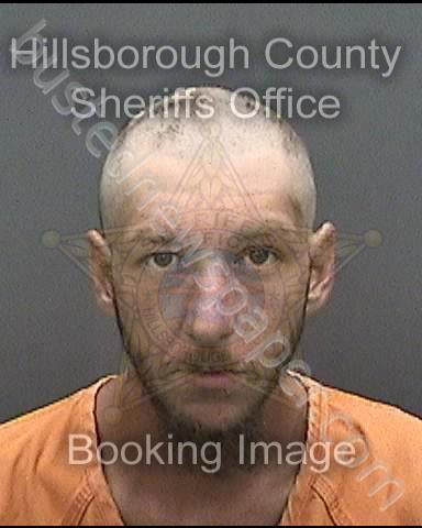 SHAFFER, AARON JAMES #, Hillsborough County, Florida - 2018-08-22 19:04:00