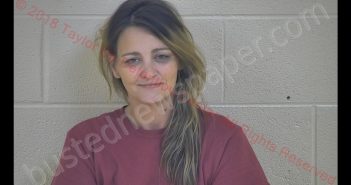 MINDI LEE GOFF | 2018-08-22 20:17:00 Taylor County, Kentucky Booking