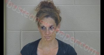 AMY MICHELE MANN | 2018-08-22 17:25:00 Taylor County, Kentucky Booking