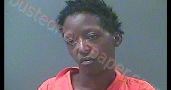 ALEXIS RENEE ROBINSON | 2018-08-24 12:14:00 Laporte County, Indiana, La Porte County, Indiana Booking