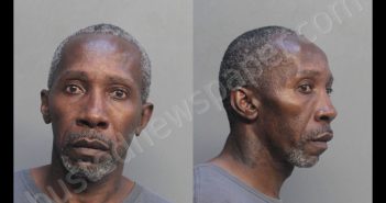 HOLLIDAY, WAYNE ANTHONY | 2018-08-24 14:13:00 Miami-Dade County, Florida Booking