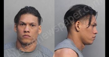 LAROSAMENA, YARIEL | 2018-08-24 18:32:00 Miami-Dade County, Florida Booking