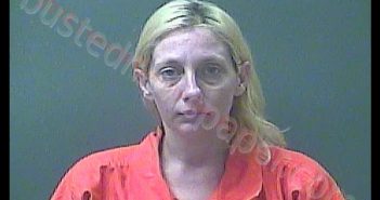 CAROL A LESLIE | 2018-08-24 21:30:00 Laporte County, Indiana, La Porte County, Indiana Booking