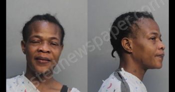 TAYLOR, MAXINE PAMELLA | 2018-08-24 14:33:00 Miami-Dade County, Florida Booking