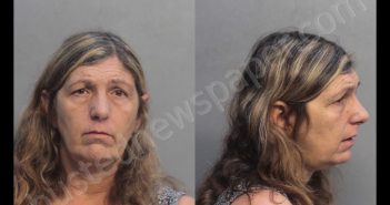 DIAZ, ELIZABETH | 2018-08-24 09:08:00 Miami-Dade County, Florida Booking