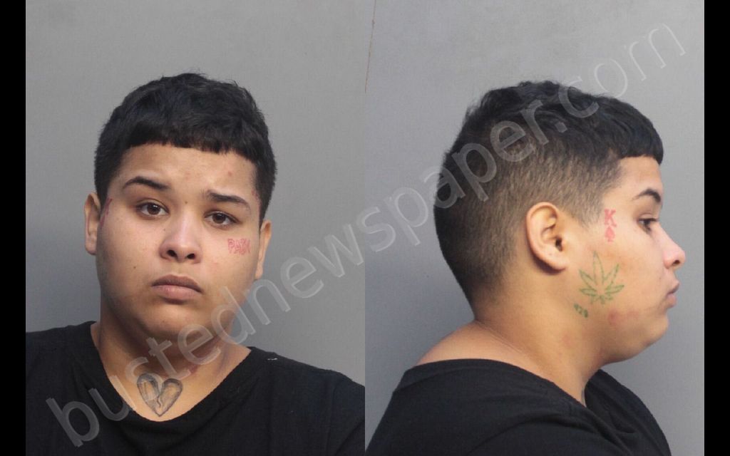 SANTOS, LILIANA ANDY #, Miami-Dade County, Florida - 2018-08-24 10:35:00