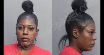 BELFORT, FABIOLA | 2018-08-24 18:34:00 Miami-Dade County, Florida Booking