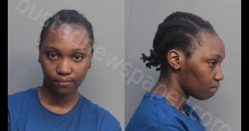 NELSON, MERVELINE | 2018-08-24 13:23:00 Miami-Dade County, Florida Booking