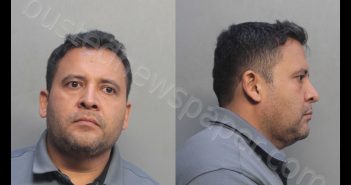 MILLAPAZ, MARCO LIBIO | 2018-08-24 17:13:00 Miami-Dade County, Florida Booking