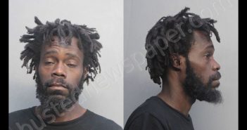 LOUIS, BRYAN | 2018-08-24 12:02:00 Miami-Dade County, Florida Booking