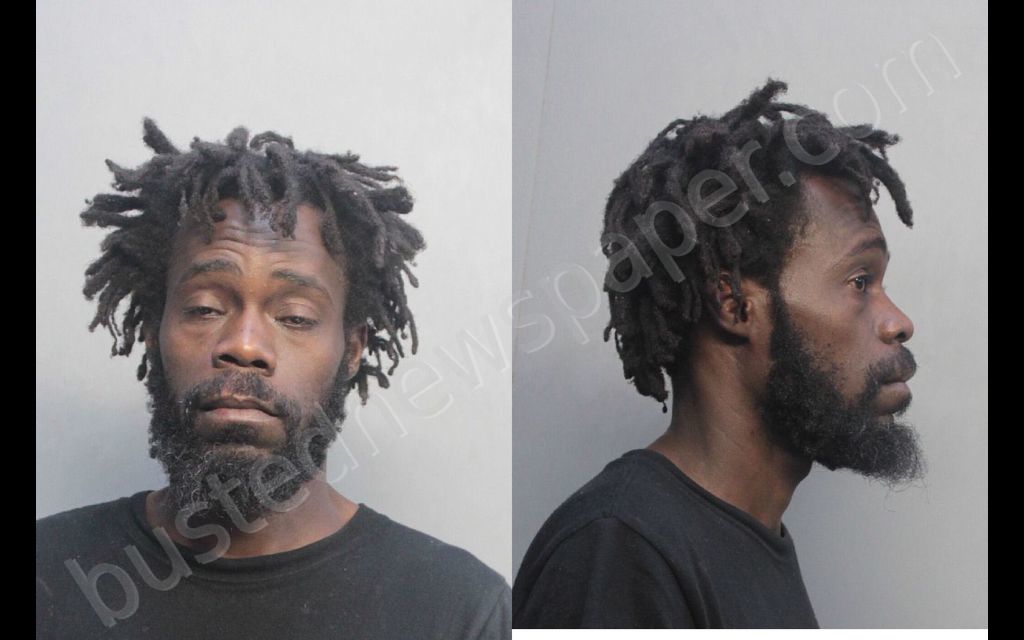 LOUIS, BRYAN #, Miami-Dade County, Florida - 2018-08-24 12:02:00