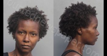 NIXON, MARQUITA | 2018-08-24 12:50:00 Miami-Dade County, Florida Booking