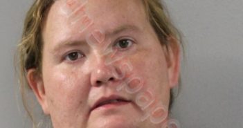 REBECCA CAROL MCGHEE | 2018-08-27 Southwest Regional Jail, Virginia Booking