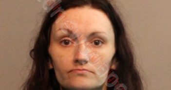 MELISSA GAIL ANDERSON | 2018-08-28 Southwest Regional Jail, Virginia Booking