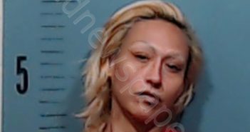 <B>GONZALES</B>, LYNDA <B>MICHELLE</B> #, Taylor County, Texas - 2018-08-29